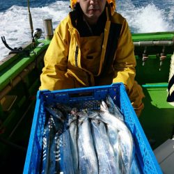 小島丸 釣果