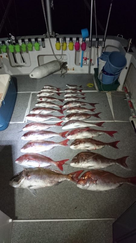 ARCADIAⅡ (アルカディアⅡ) 釣果