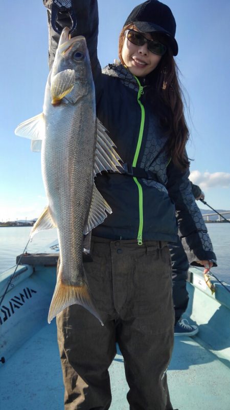 アマテラス 釣果