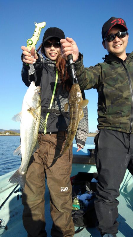 アマテラス 釣果