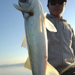 アマテラス 釣果