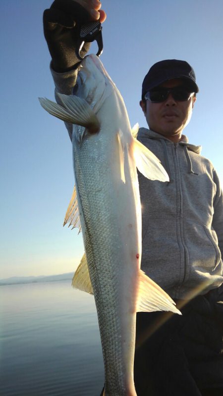 アマテラス 釣果