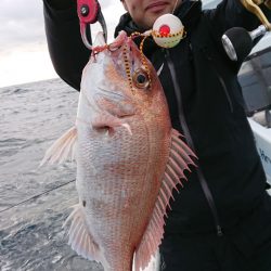 だて丸 釣果