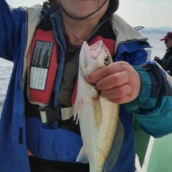 金沢八景鴨下丸 釣果