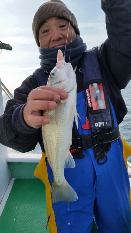 金沢八景鴨下丸 釣果