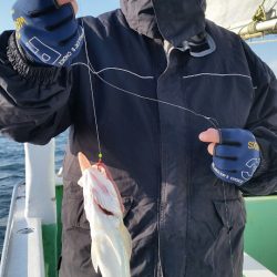 金沢八景鴨下丸 釣果