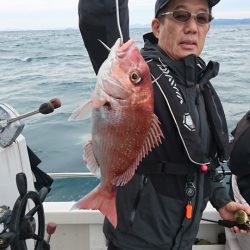 ARCADIAⅡ (アルカディアⅡ) 釣果