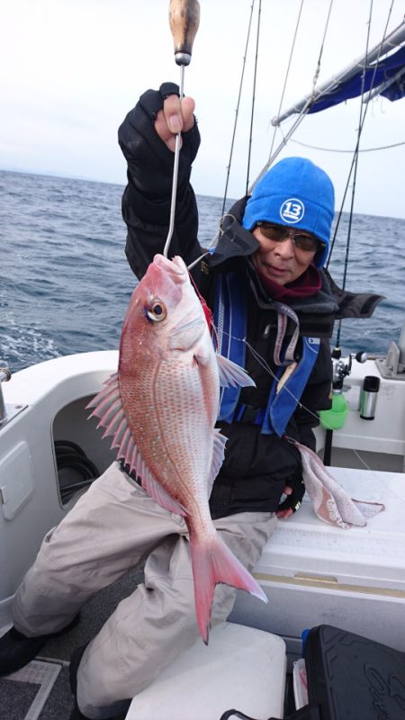 ARCADIAⅡ (アルカディアⅡ) 釣果