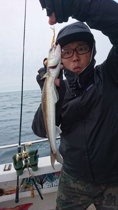 ARCADIAⅡ (アルカディアⅡ) 釣果