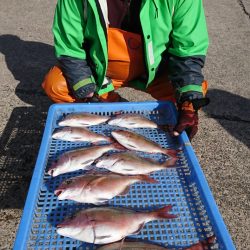 第三共栄丸 釣果