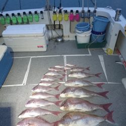 ARCADIAⅡ (アルカディアⅡ) 釣果