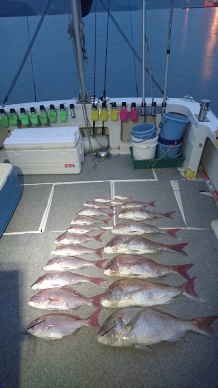 ARCADIAⅡ (アルカディアⅡ) 釣果