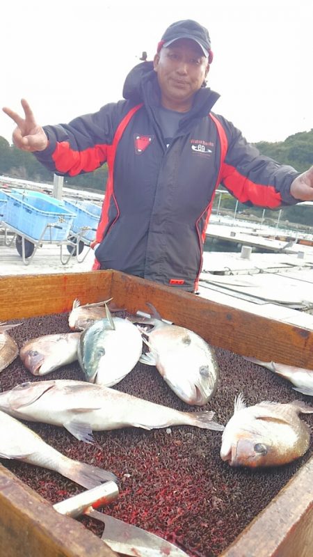 海の釣堀 海恵 釣果