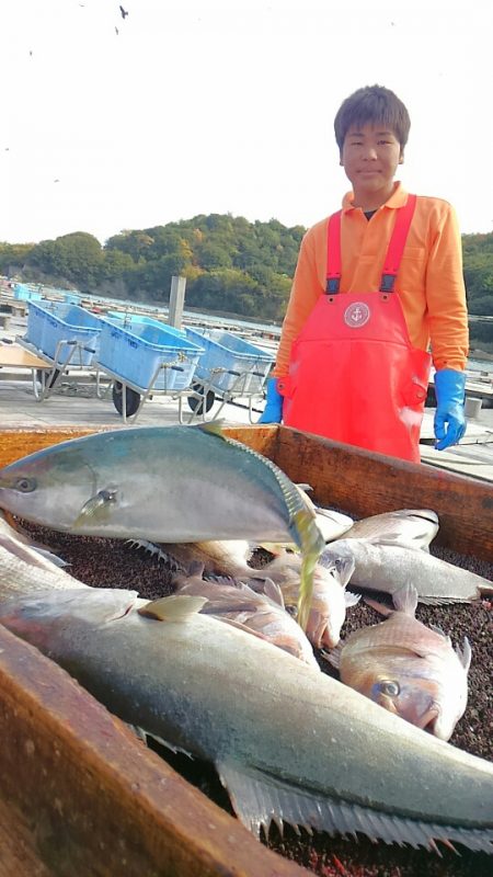 海の釣堀 海恵 釣果