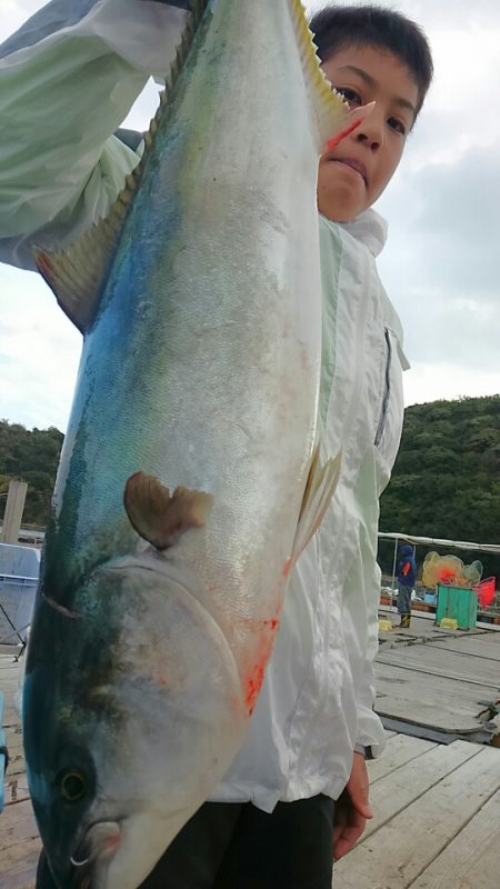 海の釣堀 海恵 釣果