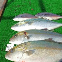 海の釣堀 海恵 釣果