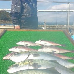海の釣堀 海恵 釣果