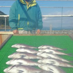 海の釣堀 海恵 釣果