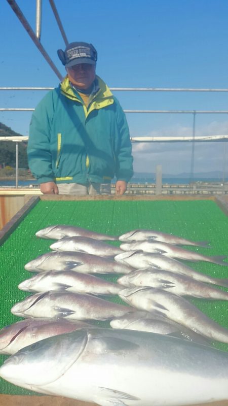 海の釣堀 海恵 釣果