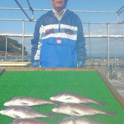 海の釣堀 海恵 釣果