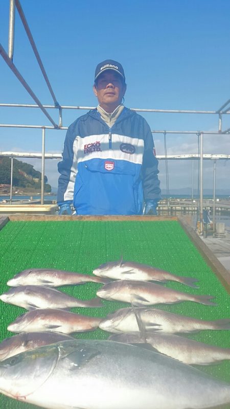 海の釣堀 海恵 釣果