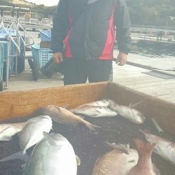 海の釣堀 海恵 釣果