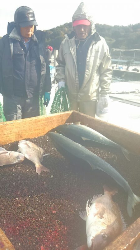 海の釣堀 海恵 釣果