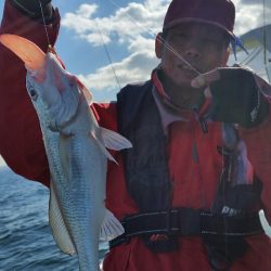 金沢八景鴨下丸 釣果