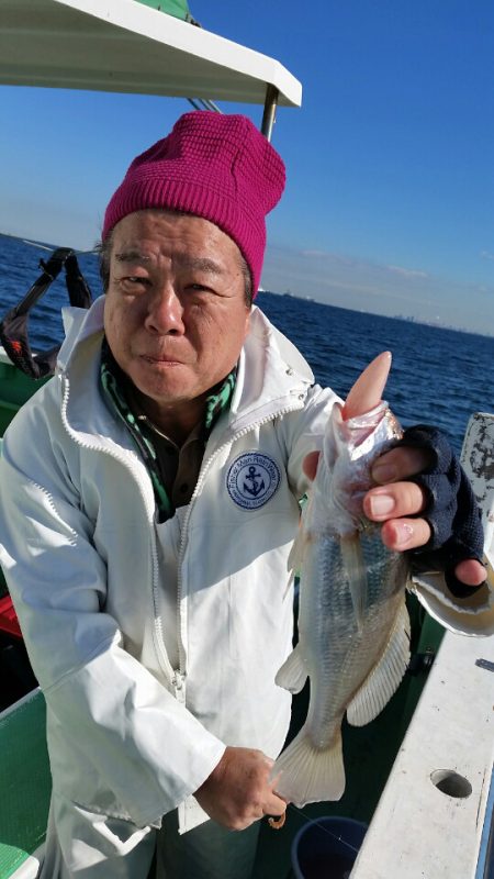 金沢八景鴨下丸 釣果