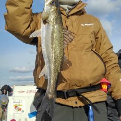 アマテラス 釣果