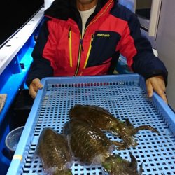 第三共栄丸 釣果