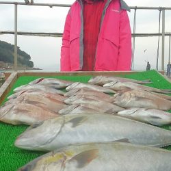 海の釣堀 海恵 釣果
