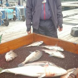 海の釣堀 海恵 釣果