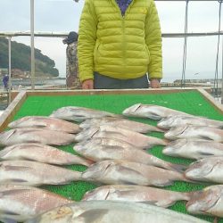 海の釣堀 海恵 釣果
