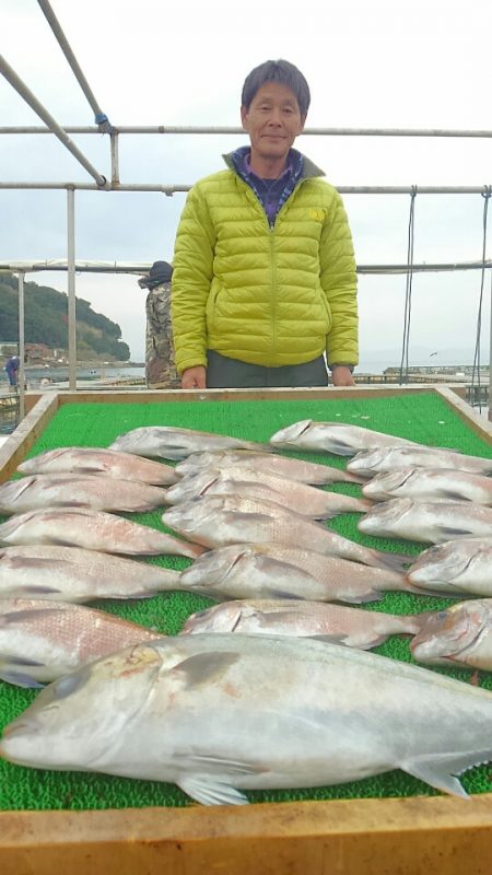 海の釣堀 海恵 釣果