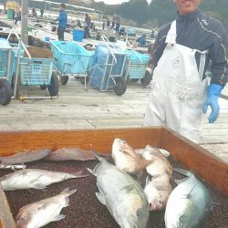 海の釣堀 海恵 釣果