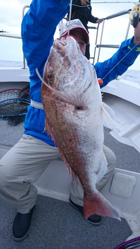 ARCADIAⅡ (アルカディアⅡ) 釣果