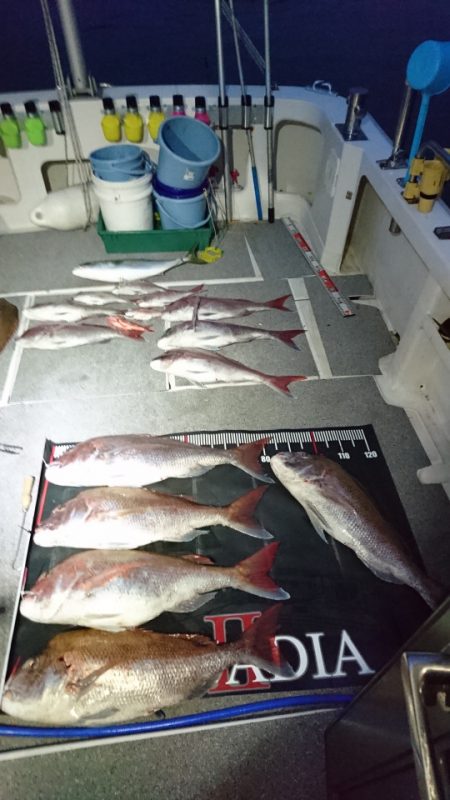 ARCADIAⅡ (アルカディアⅡ) 釣果