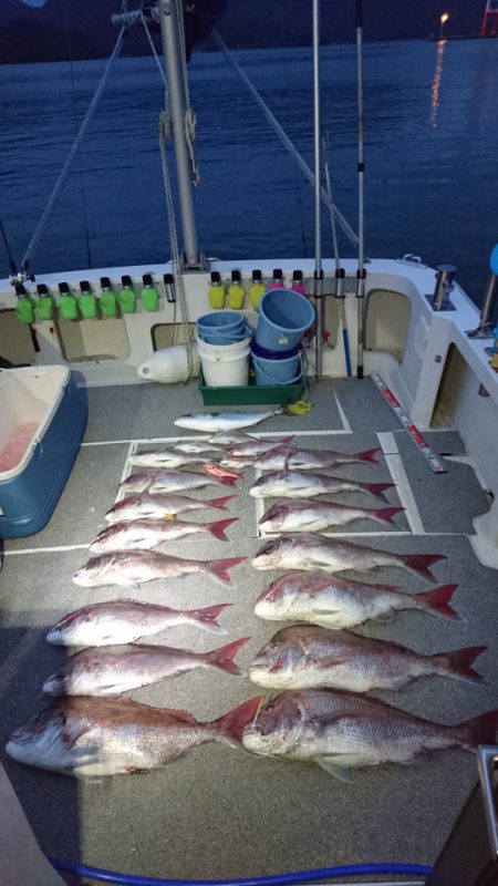 ARCADIAⅡ (アルカディアⅡ) 釣果