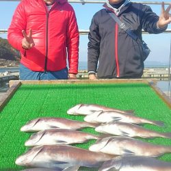 海の釣堀 海恵 釣果