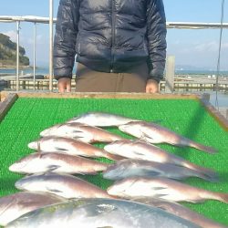 海の釣堀 海恵 釣果