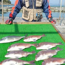 海の釣堀 海恵 釣果