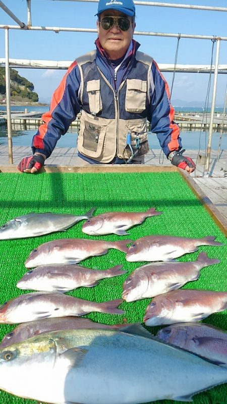 海の釣堀 海恵 釣果