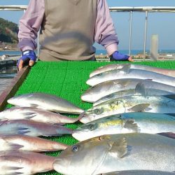 海の釣堀 海恵 釣果