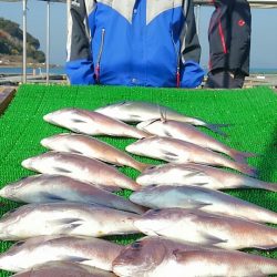 海の釣堀 海恵 釣果
