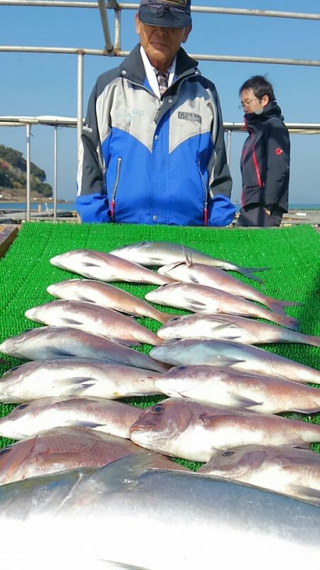 海の釣堀 海恵 釣果