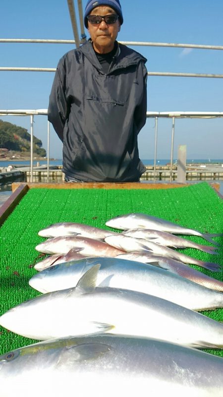 海の釣堀 海恵 釣果