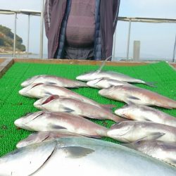 海の釣堀 海恵 釣果