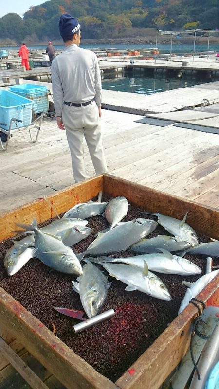 海の釣堀 海恵 釣果