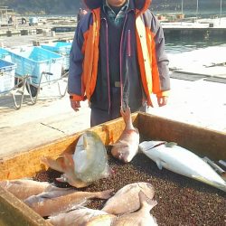 海の釣堀 海恵 釣果